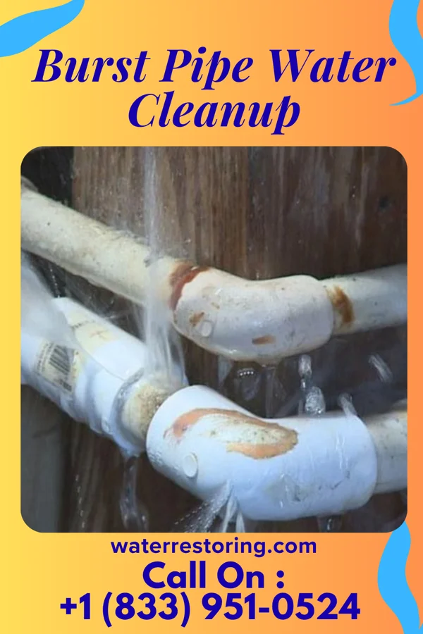 Burst Pipe Water Cleanup in Burgin, KY
