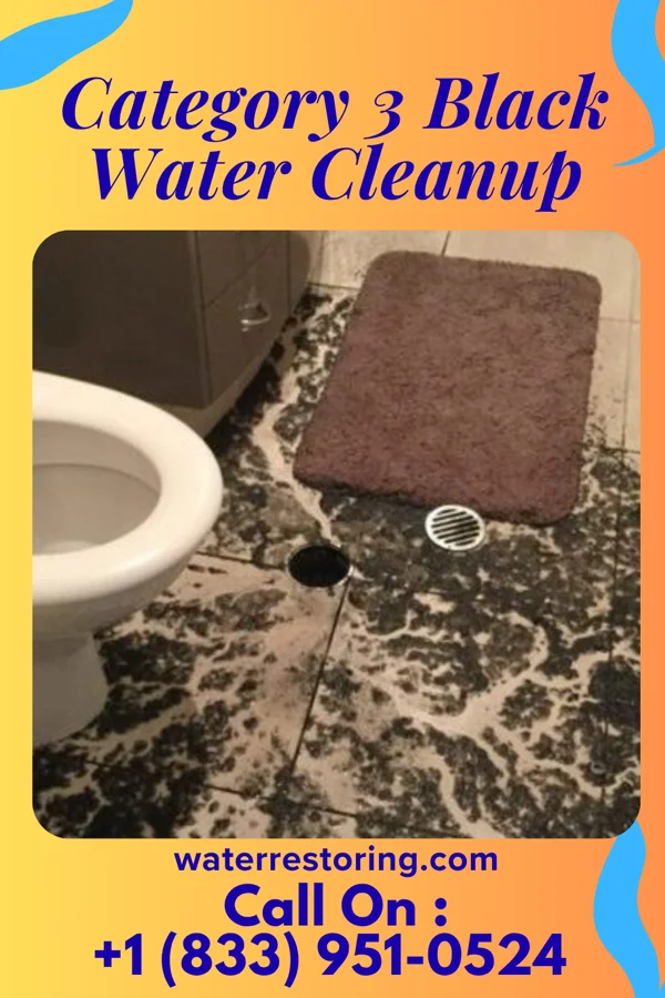 Category 3 Black Water Cleanup in Burgin, KY